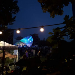 Ostrova festival 2019